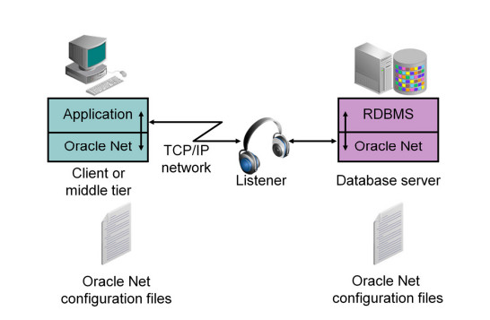 Oracle database network environment