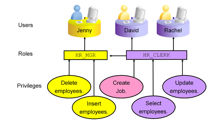 Role Privilege oracle database