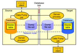 export import data trong oracle