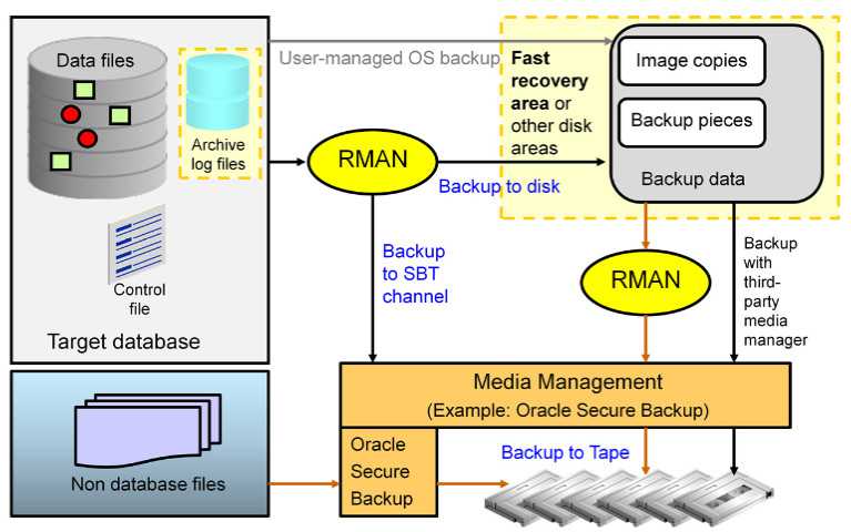 backup oracle database