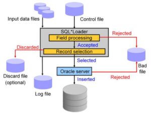 sql*loader oracle database